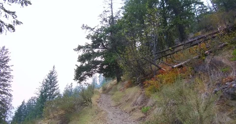 Hiking in the mountains Stock Footage 93981437