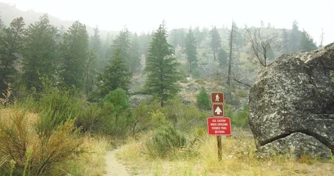 Hiking in the mountains Stock Footage 93981516