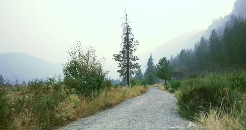 Hiking in the mountains Stock Footage 93981706