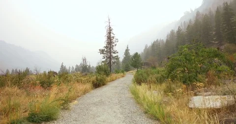 Hiking in the mountains Stock Footage 93982543