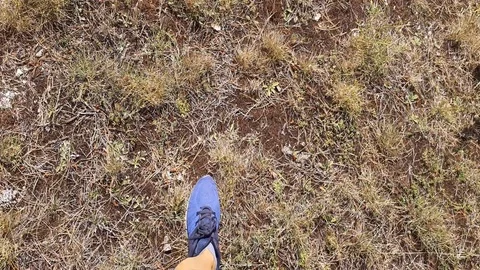Hiking in the mountains Stock Footage 115160882