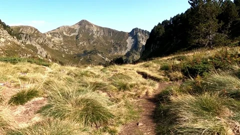 Hiking in the mountains Video stock 146040241