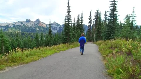 Hiking on mountains Stock Footage 287142908