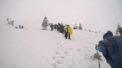 Hiking in the mountains. Ukraine. Mount Hoverla. A group of tourists climbs to Stock Footage 237441586