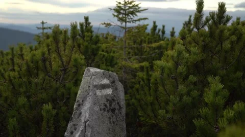 Hiking in the mountains with views of trees and a stone marker at sunset Stockbeeldmateriaal 330120745