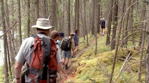 Hiking n the woods. Video stock 110086