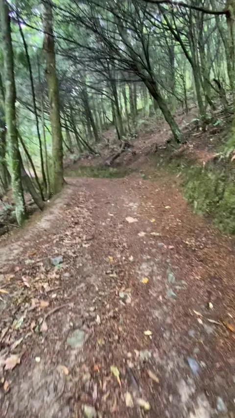 Hiking in Nelson Stock Footage 344046958