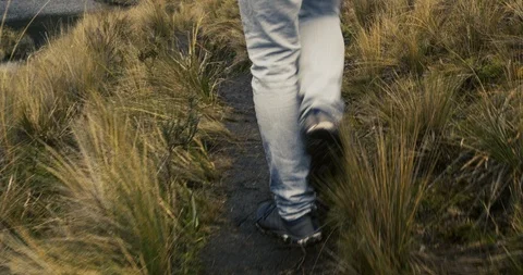 Hiking over muddy path in mountain grasslands on regular shoes Stock Footage 87214321