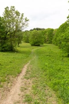Hiking path in clearing to tree Stock Photos
