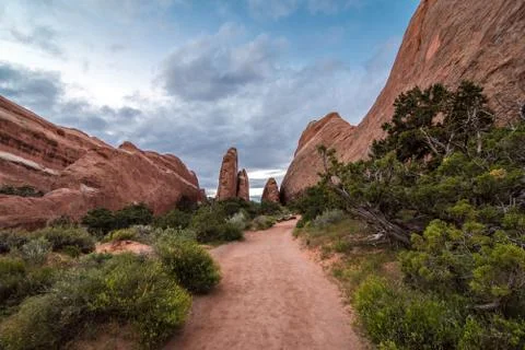 Hiking path in the desert. Foto stock