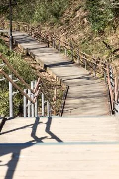 Hiking path in forest Stock Photos
