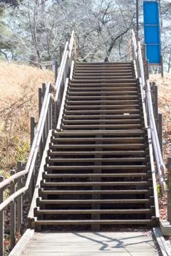 Hiking path in forest Stock Photos