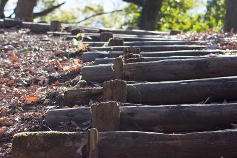 Hiking path in forest Stock Photos