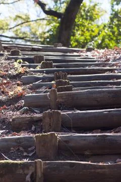 Hiking path in forest Stock Photos