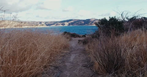 Hiking Path at Lake Castaic Stock Footage 146941286