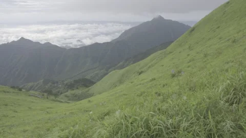 Hiking Path on Meadow with Sea of Clouds Stock-Footage 343666462
