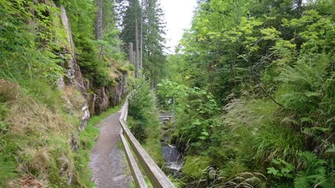 Hiking path at Menzenschwander cascade in Black Forest Germany Schwarzwald Stock Footage 331459814
