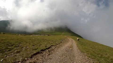 Hiking path in the misty mountains Stock Footage 142747614