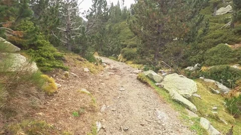 Hiking on a path in the mountains Stock Footage 146043954