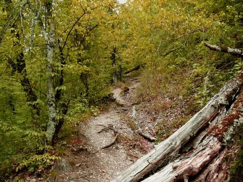 Hiking path in the mountains Stock Photos