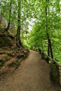 Hiking path passing through spectacular rock formations of Saxon Switzerland  Stock Photos
