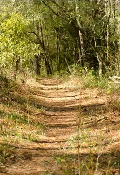 Hiking path Stock Photos