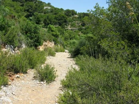 Hiking path Stock Photos