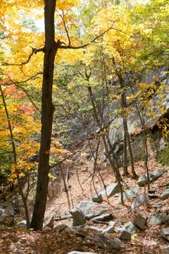 Hiking path Stock Photos