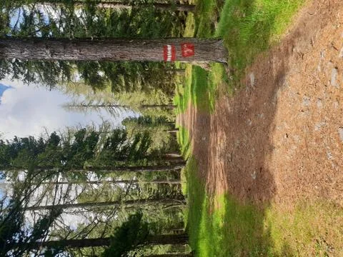 Hiking path Stock Photos