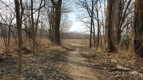 Hiking Path Foto stock