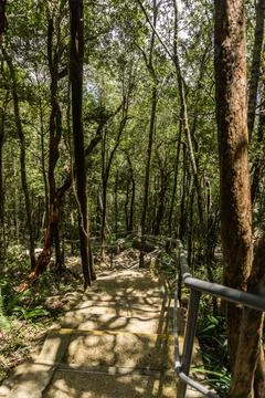 Hiking path Stock Photos