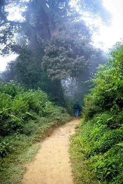 Hiking Path Stock Photos