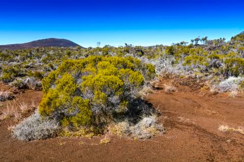 Hiking path, Piton de La Fournaise, Reunion Island Stock Photos