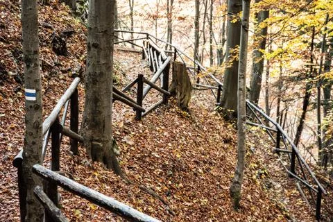 Hiking path with railing in the autumn deciduous forest, tourism theme Stock Photos