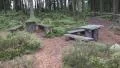 Hiking path restplace pan in mountain range Harz autumn forest HD Footage