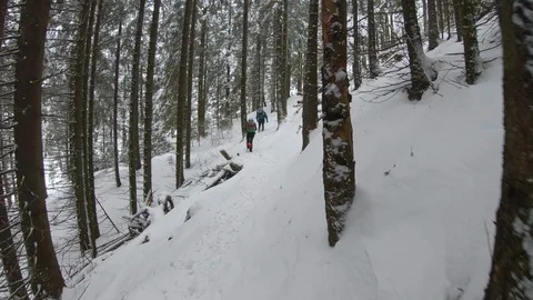 Hiking on path in the snowy forest Stock Footage 99907841