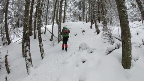 Hiking on path in the snowy forest Stock Footage 99907920