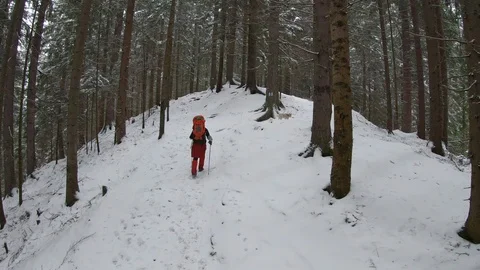 Hiking on path in the snowy forest Stock Footage 99908189