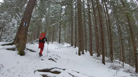 Hiking on path in the snowy forest Stock Footage 99908291