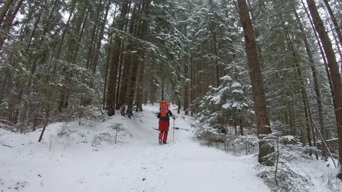 Hiking on path in the snowy forest Stock Footage 99908532