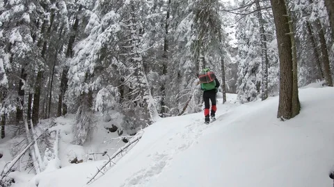 Hiking on path in the snowy forest Stock Footage 99908617