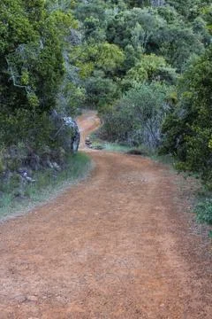 Hiking path on table mountain, south africa Foto stock
