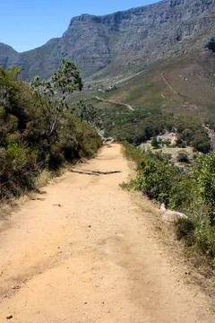 Hiking path on table mountain, south africa Stock Photos