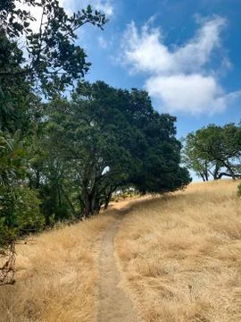 Hiking Path Through Brown Grass and Trees Stock Photos