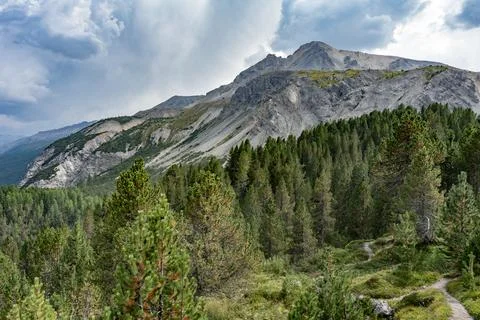 Hiking path  through forest and high rocky cliffs in background Stock Photos