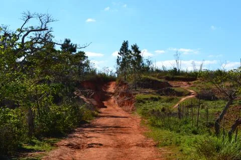 Hiking path through the valley of Vinales, passing coffee plantations in Cuba Stock Photos