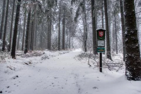 Hiking path under snow in mountains with fog, with spruce forest, Beskydy  mo Stock Photos