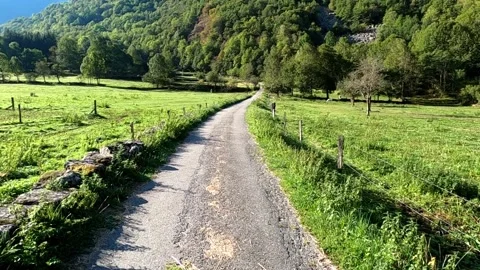 Hiking path in the valley of the mountains Stock Footage 145857196