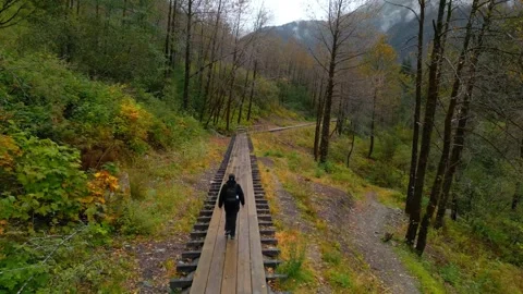 Hiking on path in wilderness  Stock-Footage 294709189