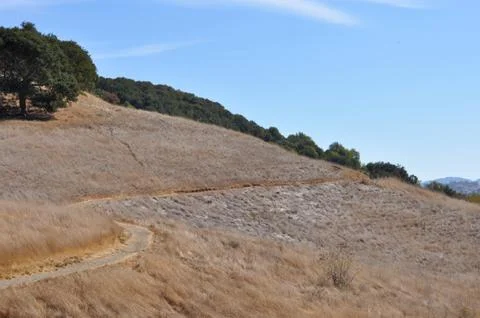 A hiking path winds its way over a grassy hill Stock Photos